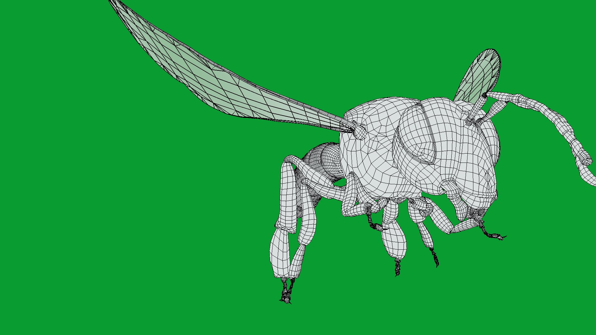 3D Tetragonisca Angustula Bee https://p.turbosquid.com/ts-thumb/Mf/pHx3Bd/Y5/angelita_bee21/png/1778427796/1920x1080/fit_q87/30cc739ebf083799eacea3998157c8dcf105ad8e/angelita_bee21.jpg