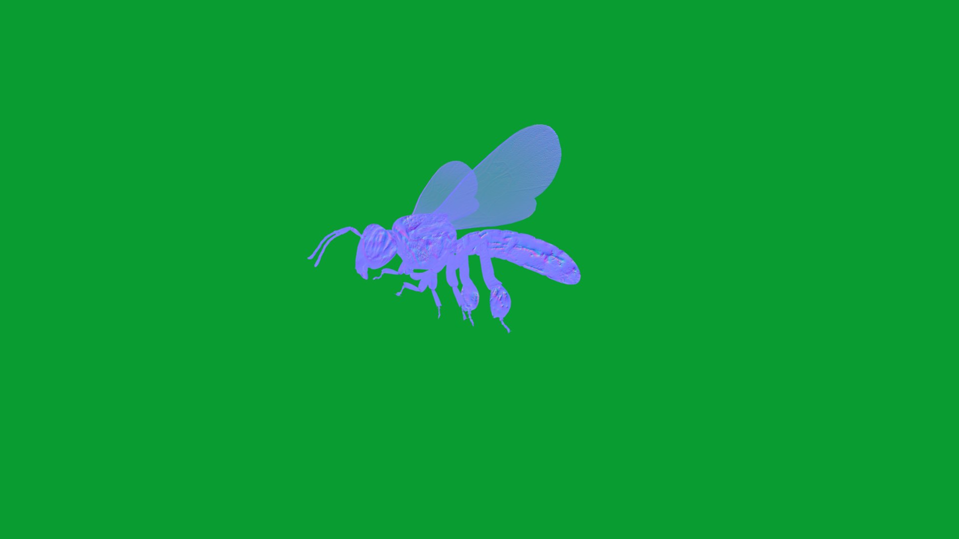 3D Tetragonisca Angustula Bee https://p.turbosquid.com/ts-thumb/Mf/pHx3Bd/qk/angelita_bee13/png/1778427787/1920x1080/fit_q87/ddd8a9857eac1573ab82b33883e4c3bf75b49c98/angelita_bee13.jpg