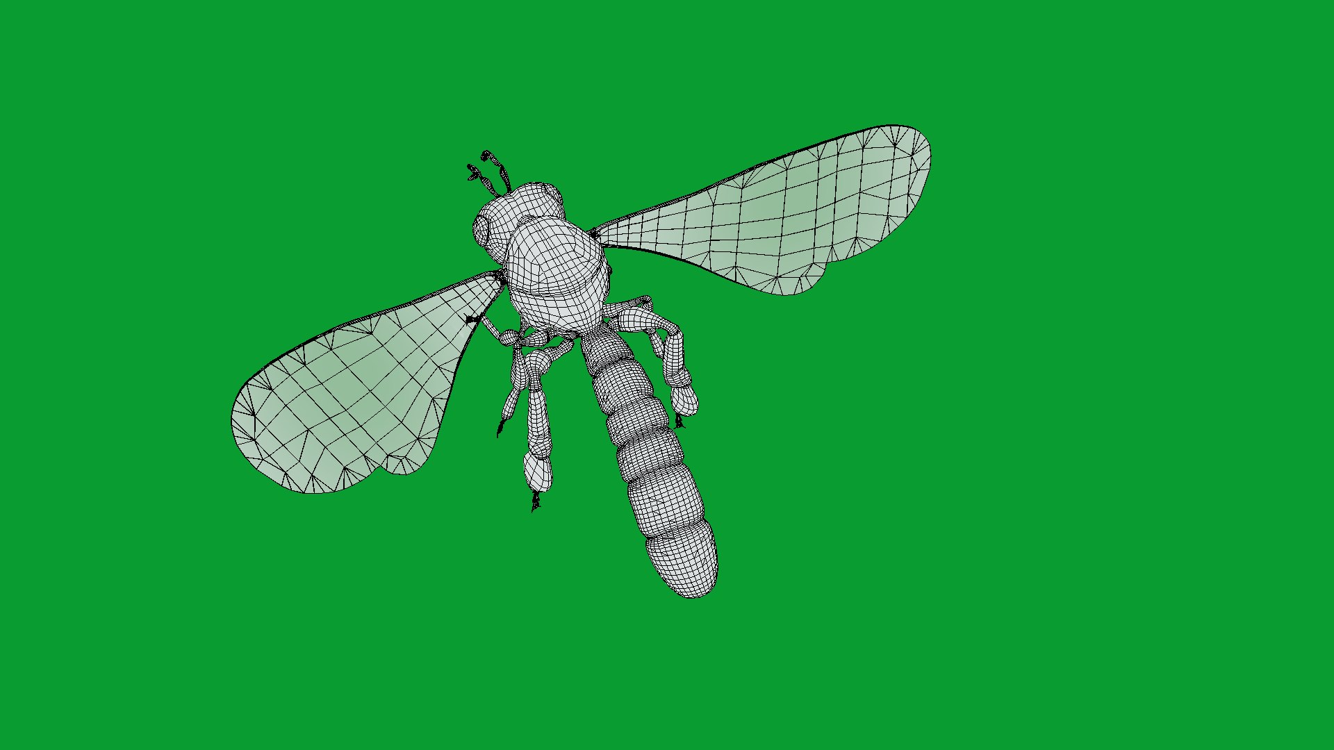 3D Tetragonisca Angustula Bee https://p.turbosquid.com/ts-thumb/Mf/pHx3Bd/rk/angelita_bee20/png/1778427796/1920x1080/fit_q87/0661b95ec8c86c63a71f92d455ce4b0598f07406/angelita_bee20.jpg