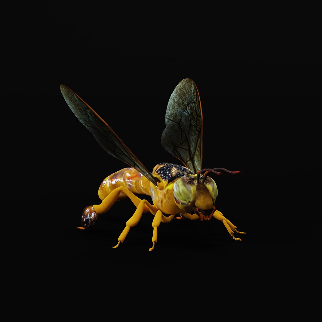 3D Tetragonisca Angustula Bee https://p.turbosquid.com/ts-thumb/Mf/pHx3Bd/yy/tetragoniscaangustularig/jpg/1778427759/1920x1080/fit_q87/fe9a4d90cf238d1ba8701ee37b067b7139dc246d/tetragoniscaangustularig.jpg