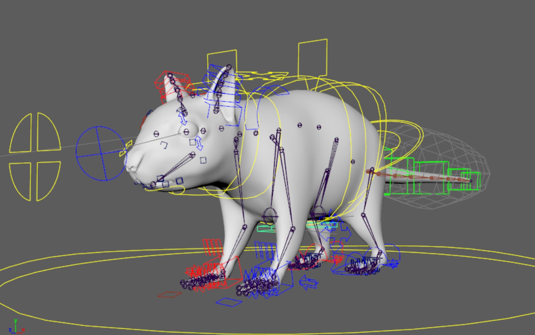 3D squirrel animation rig model - TurboSquid 1298398