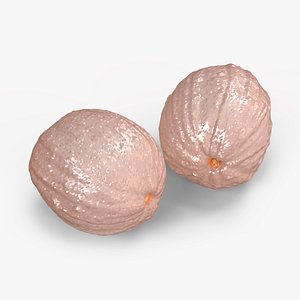 Peeled Lychee Fruit model