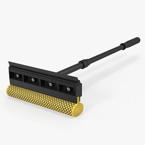 Window Squeegee and Sponge