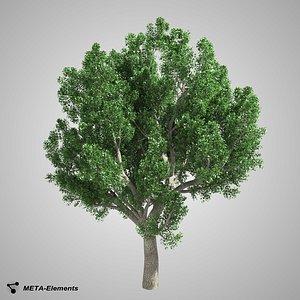 free obj mode broadleaf tree