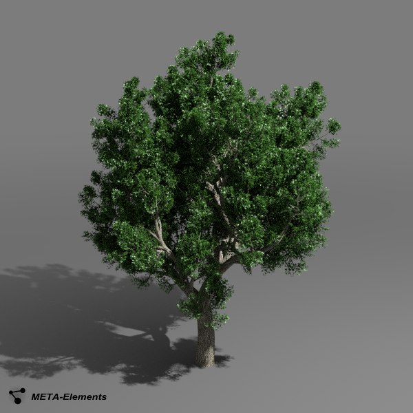 free obj mode broadleaf tree