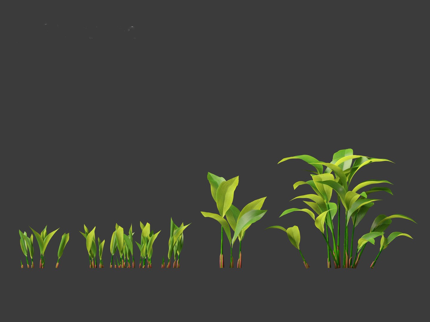 Convallaria majalis - lily-of-the-valley 3D model https://p.turbosquid.com/ts-thumb/Mg/I40mRb/Nk/convallariamajalis014/jpg/1697813227/1920x1080/fit_q87/b2890526c3516ac043850df380074e0471b9fb71/convallariamajalis014.jpg