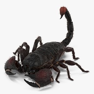 3d black scorpion pose 3