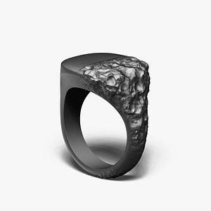 Signet Ring Sculptural Jewelry Design 3D model