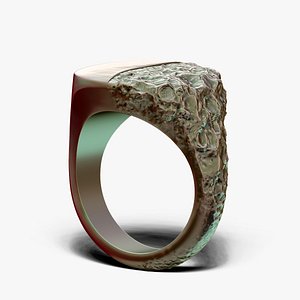 Signet Ring Sculptural Jewelry Design 3D model