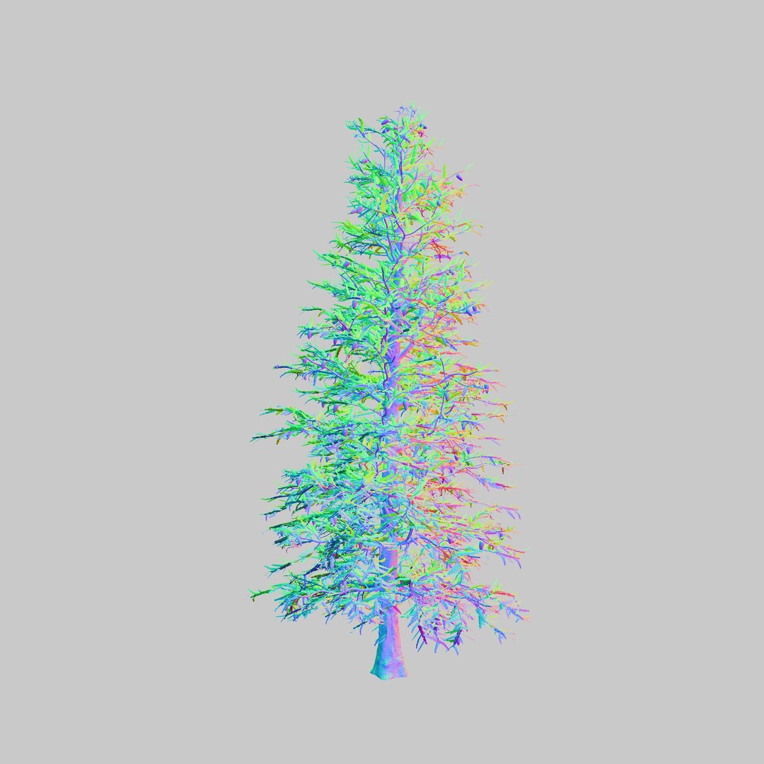 spruce tree 3D https://p.turbosquid.com/ts-thumb/Mg/gU2oNF/71ufuLnr/10/jpg/1593246199/1920x1080/fit_q87/652a3b1698cf55502234cd54f4be31d6cc8683fe/10.jpg