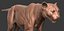Fully Detailed Mountain Lion Puma Cougar Zbrush Sculpt 3D model