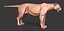 Fully Detailed Mountain Lion Puma Cougar Zbrush Sculpt 3D model