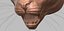 Fully Detailed Mountain Lion Puma Cougar Zbrush Sculpt 3D model