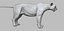 Fully Detailed Mountain Lion Puma Cougar Zbrush Sculpt 3D model