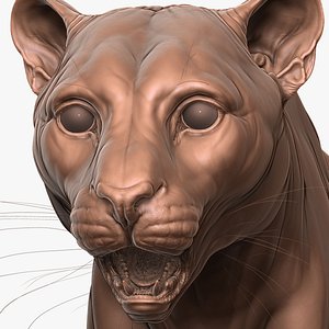 Fully Detailed Mountain Lion Puma Cougar Zbrush Sculpt 3D model