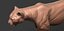 Fully Detailed Mountain Lion Puma Cougar Zbrush Sculpt 3D model