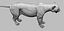Fully Detailed Mountain Lion Puma Cougar Zbrush Sculpt 3D model