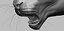 Fully Detailed Mountain Lion Puma Cougar Zbrush Sculpt 3D model