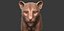 Fully Detailed Mountain Lion Puma Cougar Zbrush Sculpt 3D model