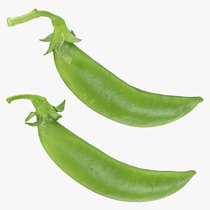 Snap Pea Collection 3D model
