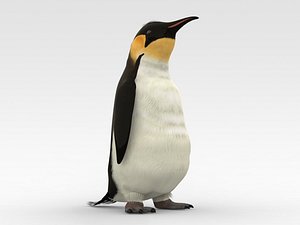 Emperor penguin 3D model