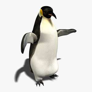 Penguin (ANIMATED)