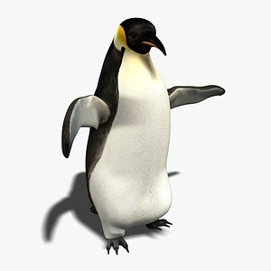 Penguin (ANIMATED)