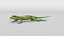 Gecko 3D