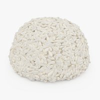 Pile Cooked Rice