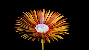 r14 flower xpresso - c4d free