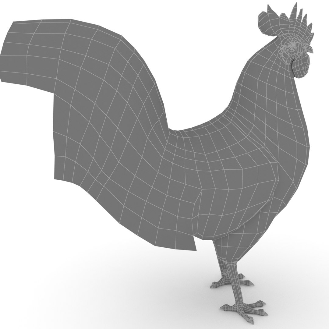Rooster White 3D Model - TurboSquid 1441008