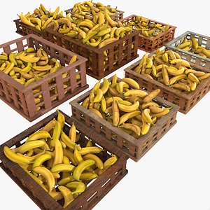 Banana Fruit Crates Cases Market Store Shop Convenience General Grocery Greengrocery Detail Prop Fair Plantation Jungle South Plant Garden Greenhouse