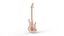 Electric Guitar