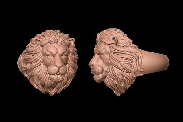 Modello 3D anello del leone stampa 3d TurboSquid 2221459