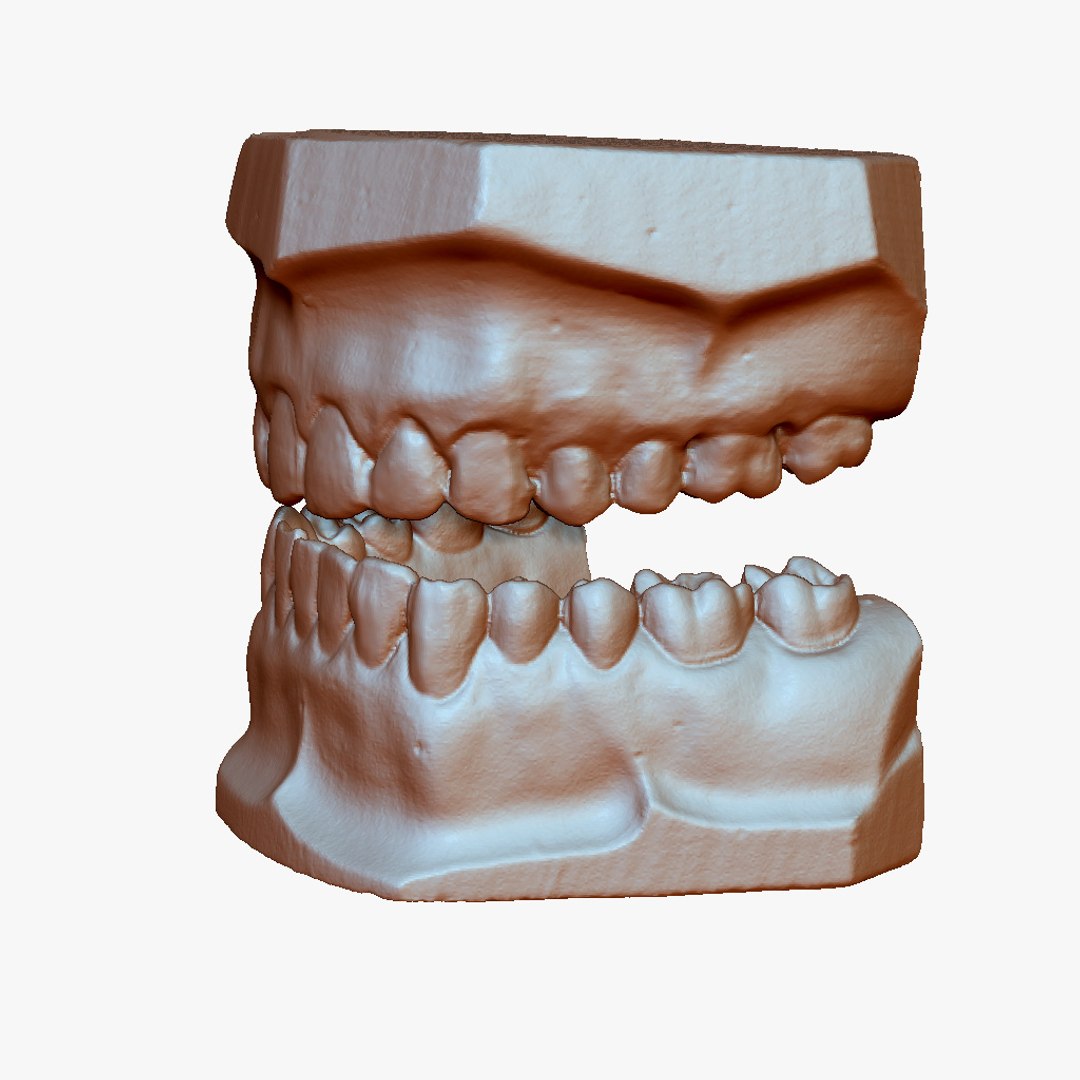 gypsum teeth 3d max https://p.turbosquid.com/ts-thumb/Mh/osCpUC/GSi8asOe/gypsumteeth_02/jpg/1401789034/1920x1080/fit_q87/c0055a85c341a3bf8f29e282aa688effee4fa5ae/gypsumteeth_02.jpg