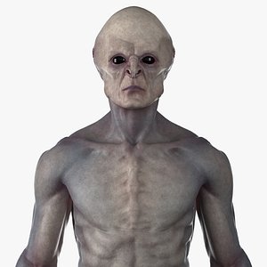 Alien Rigged Without Genitals