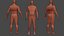 LOW POLY HUMAN