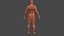 LOW POLY HUMAN