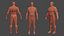 LOW POLY HUMAN