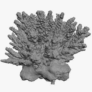White Coral Piece 03 for 3D Print 3D model