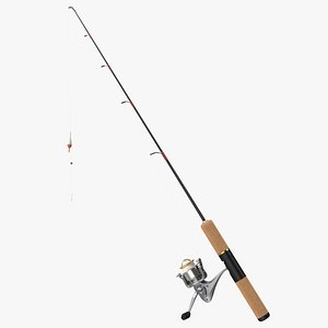 Fishing Rod and Hook