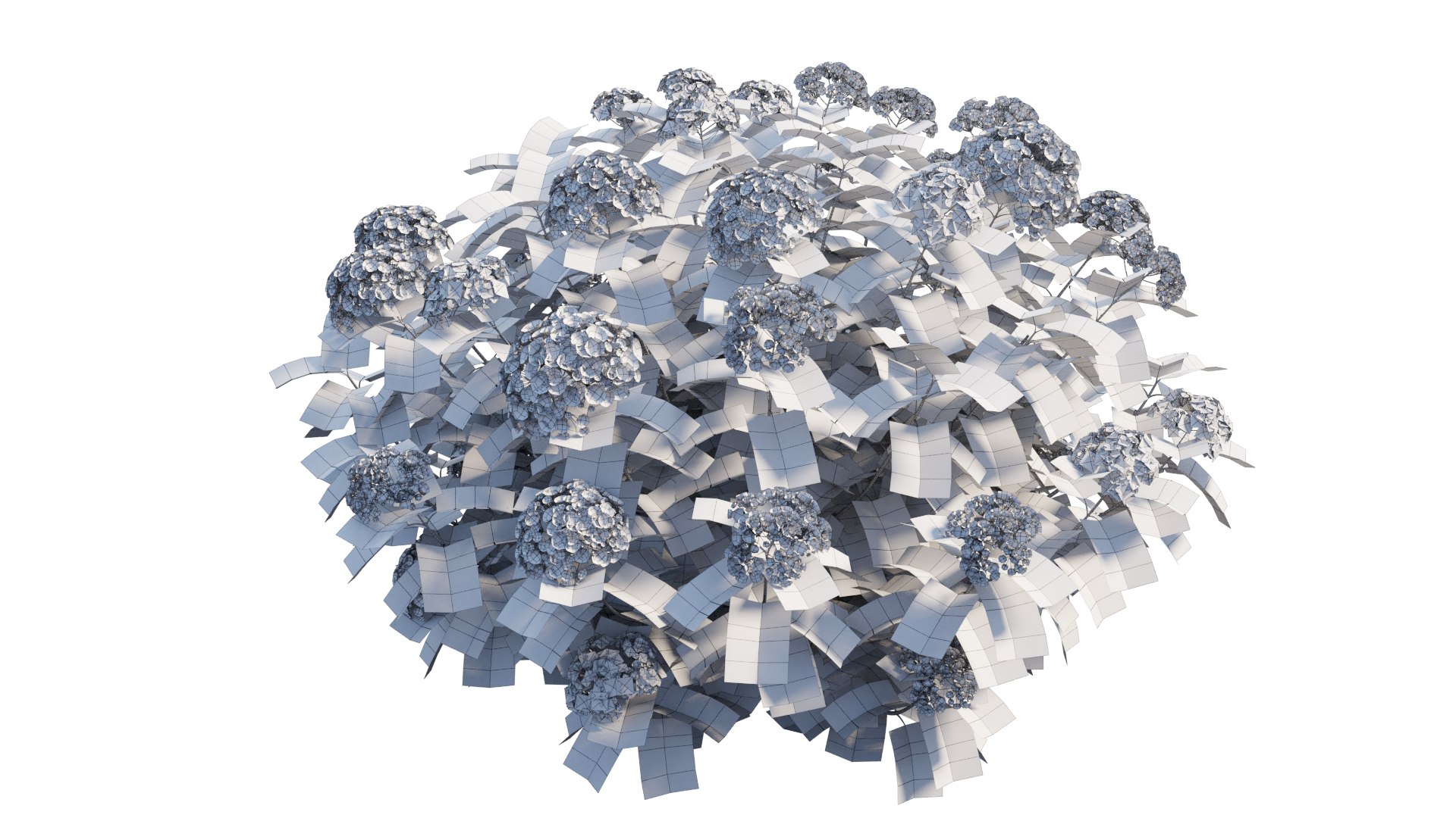 hydrangea plant set 32 model https://p.turbosquid.com/ts-thumb/Mi/A3tua1/q2/7_interactivelightmix/png/1614252643/1920x1080/fit_q87/2f26241b1e9b2fa4c93bbcde638f488bc9f4276b/7_interactivelightmix.jpg