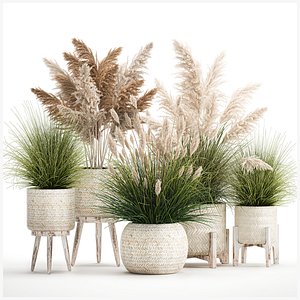 3D Ornamental plants in white rattan baskets 1080