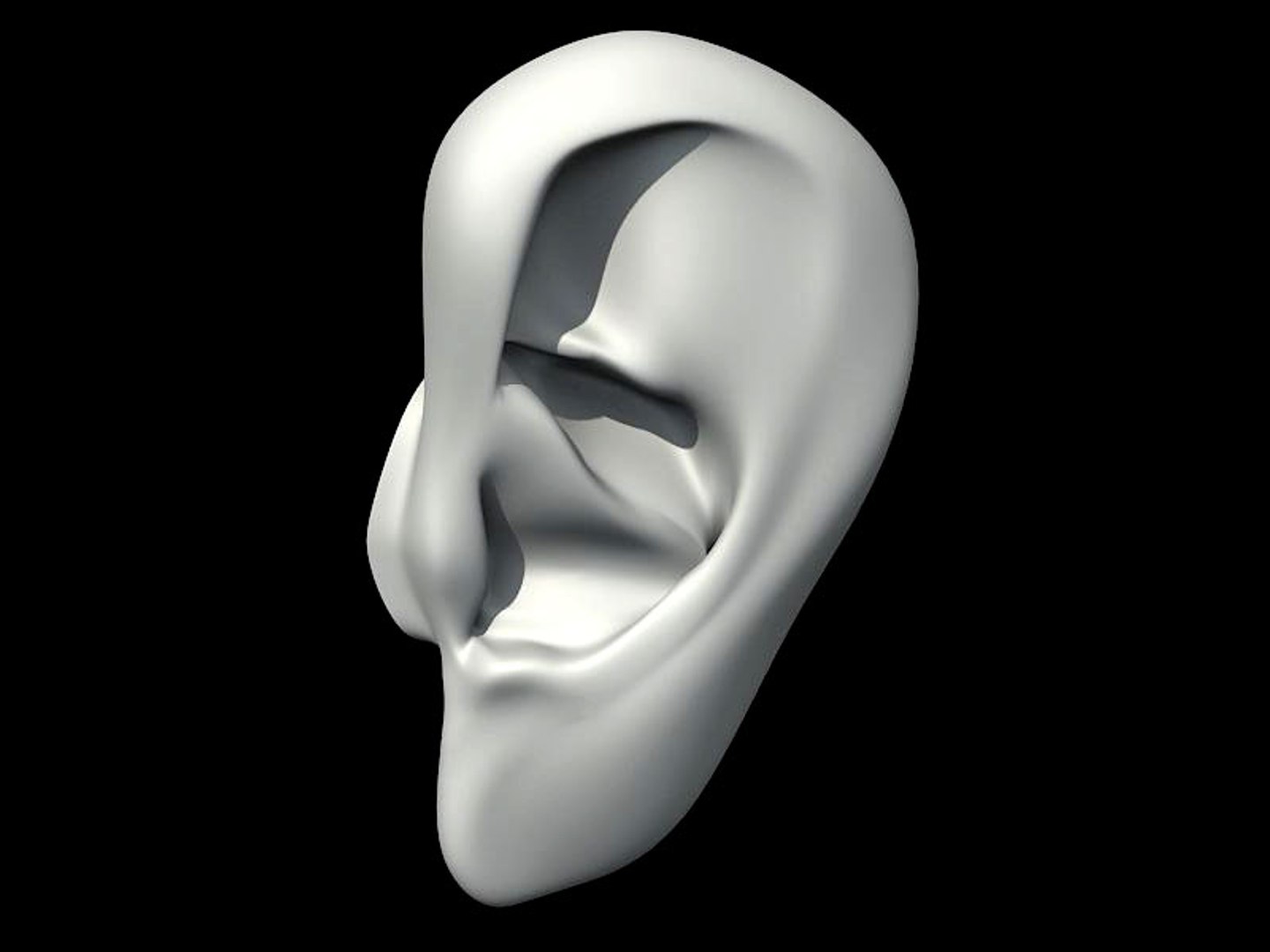 3d ear head model https://p.turbosquid.com/ts-thumb/Mi/InY1Oj/3v4WO4mf/tavola3/jpg/1447165594/1920x1080/fit_q87/d4cfde0d6b3c38ed7458ecbe1184a84b218ebefe/tavola3.jpg