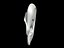 Oreja