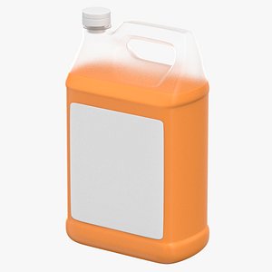 3D Car Wash Bottle Blank and Generic Label model
