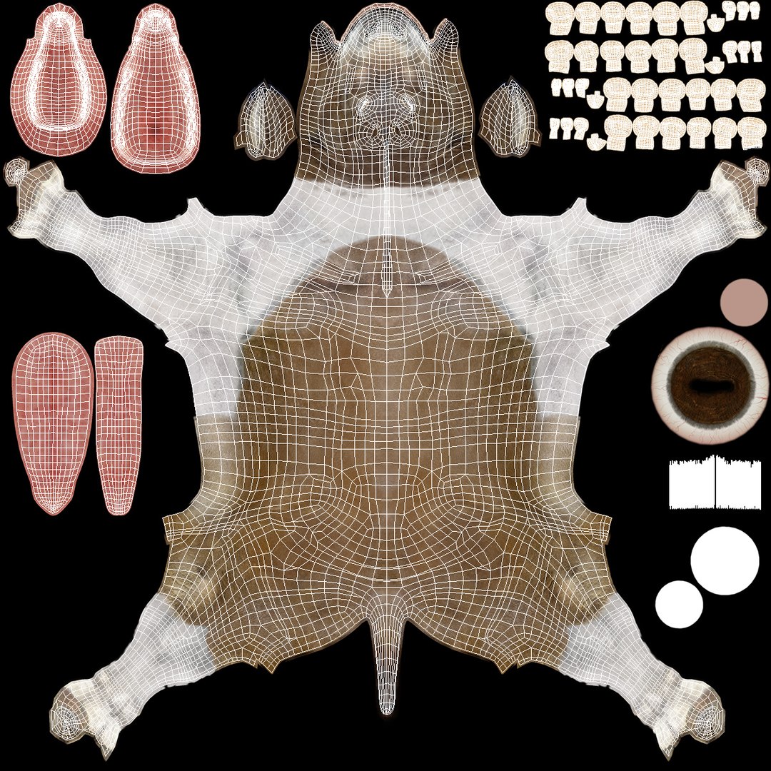 3D Lying Mule https://p.turbosquid.com/ts-thumb/Mi/hRHdat/RO/lyingmule3dsmodel017/jpg/1726019173/1920x1080/fit_q87/5f4258ddc57035497c2ae2fa480f0cac89e8f043/lyingmule3dsmodel017.jpg