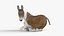 Лежащий мул