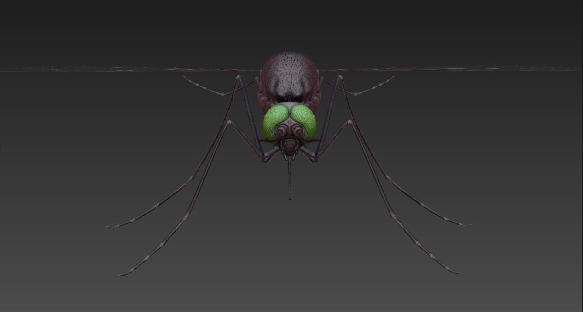 3D Mosquito Model - TurboSquid 2545212