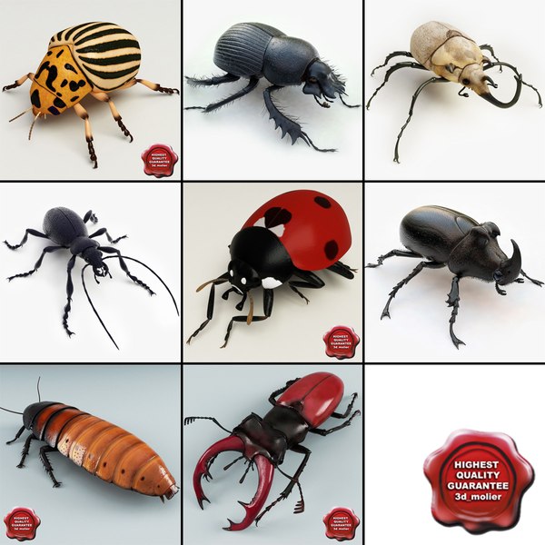 3d model bugs v3